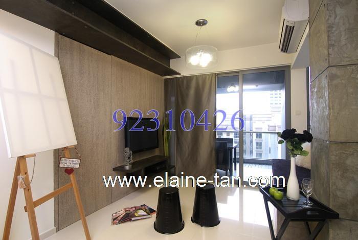 Oxford Suites (D8), Apartment #165041502